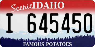 ID license plate I645450