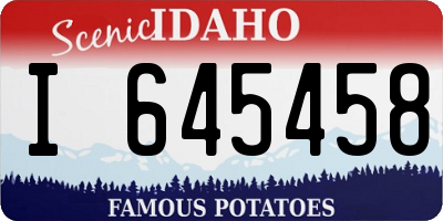 ID license plate I645458