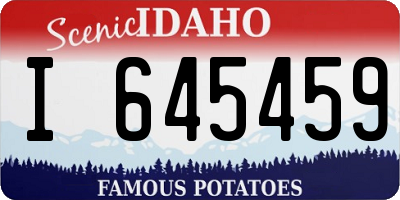 ID license plate I645459