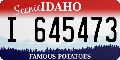 ID license plate I645473
