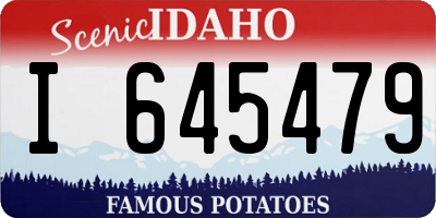 ID license plate I645479