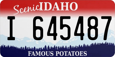 ID license plate I645487