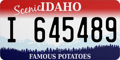 ID license plate I645489