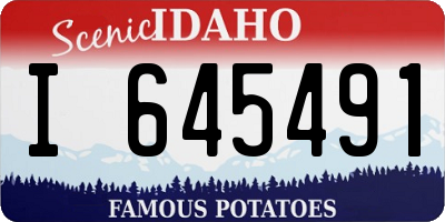 ID license plate I645491