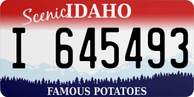 ID license plate I645493