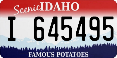 ID license plate I645495