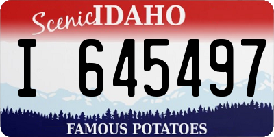 ID license plate I645497