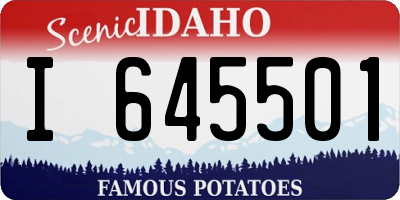 ID license plate I645501