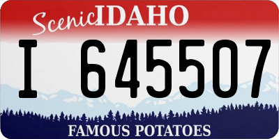 ID license plate I645507