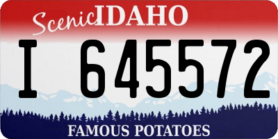 ID license plate I645572