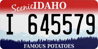 ID license plate I645579