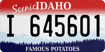 ID license plate I645601