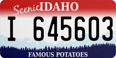 ID license plate I645603