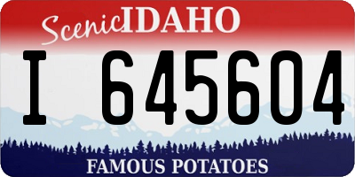 ID license plate I645604