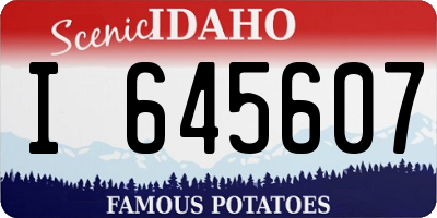 ID license plate I645607