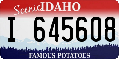 ID license plate I645608