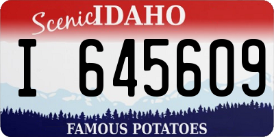 ID license plate I645609