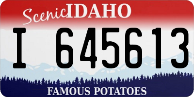 ID license plate I645613