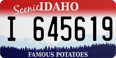 ID license plate I645619