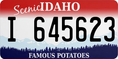 ID license plate I645623