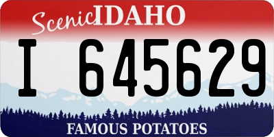 ID license plate I645629