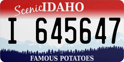 ID license plate I645647