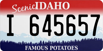 ID license plate I645657