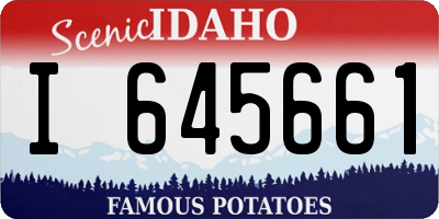 ID license plate I645661