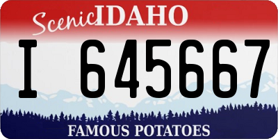 ID license plate I645667
