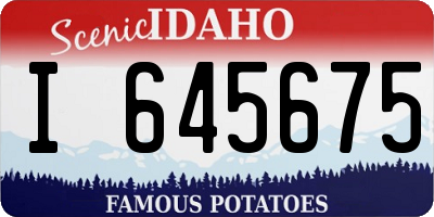 ID license plate I645675