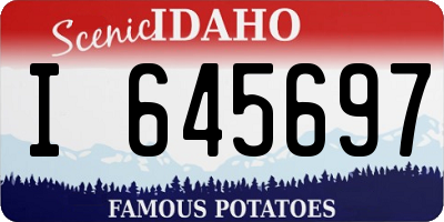 ID license plate I645697