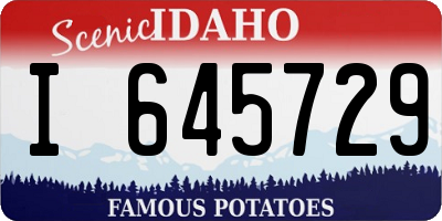 ID license plate I645729