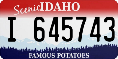 ID license plate I645743