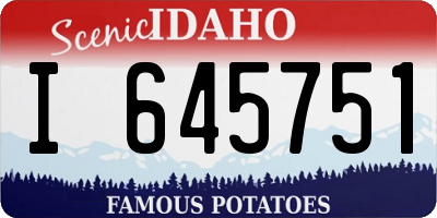 ID license plate I645751