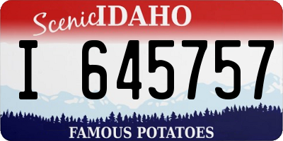 ID license plate I645757