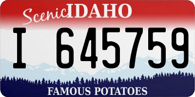 ID license plate I645759