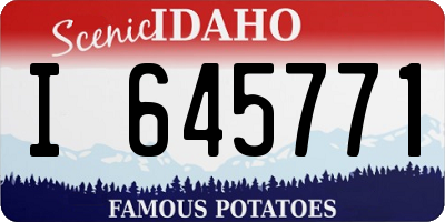 ID license plate I645771
