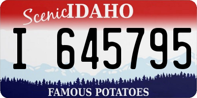ID license plate I645795