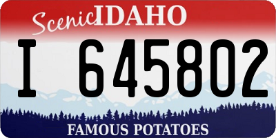 ID license plate I645802
