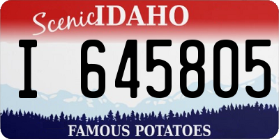 ID license plate I645805