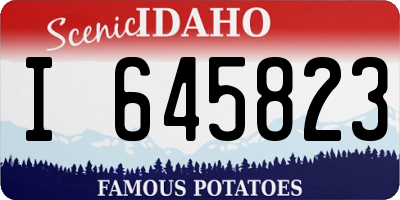 ID license plate I645823