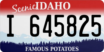 ID license plate I645825