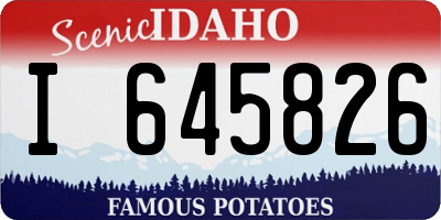 ID license plate I645826