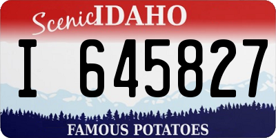 ID license plate I645827