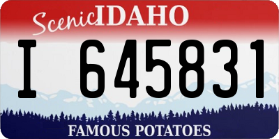 ID license plate I645831