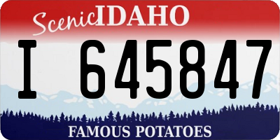 ID license plate I645847
