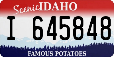 ID license plate I645848