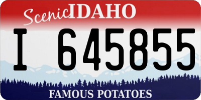 ID license plate I645855
