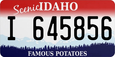 ID license plate I645856