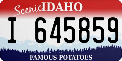 ID license plate I645859